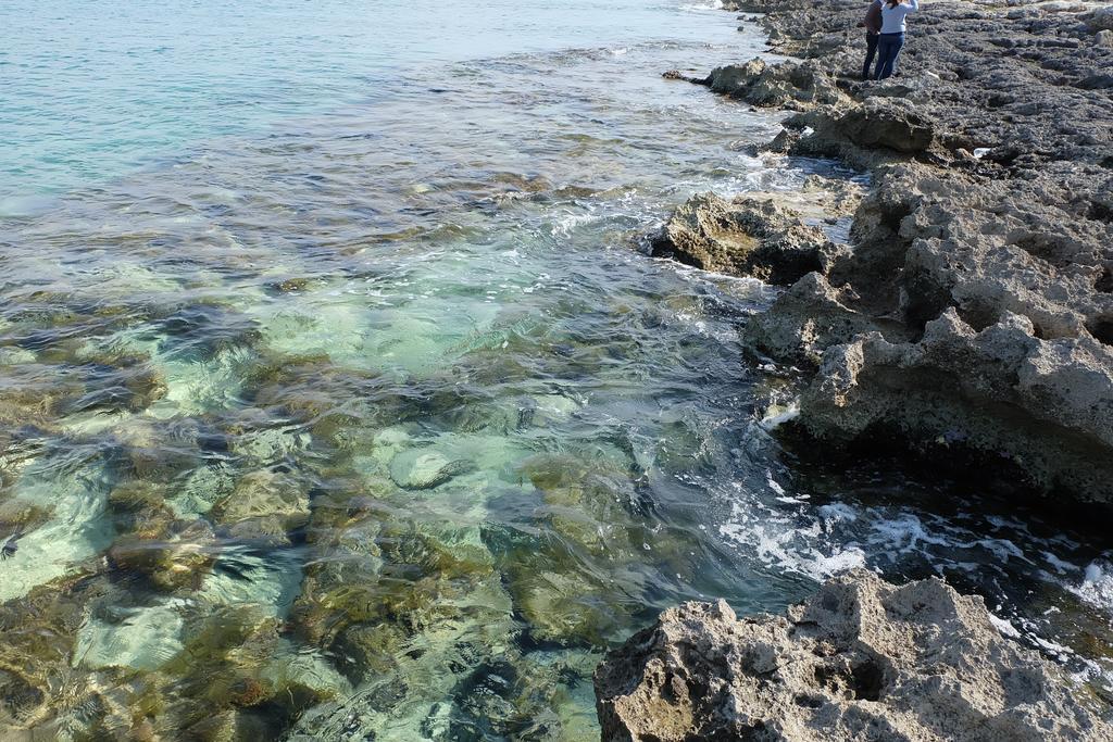 Oasi San Pio Apartment Porto Cesareo Bagian luar foto