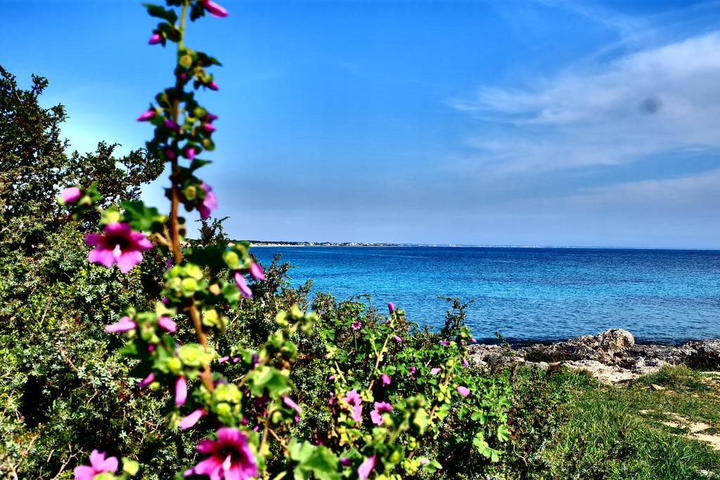 Oasi San Pio Apartment Porto Cesareo Bagian luar foto