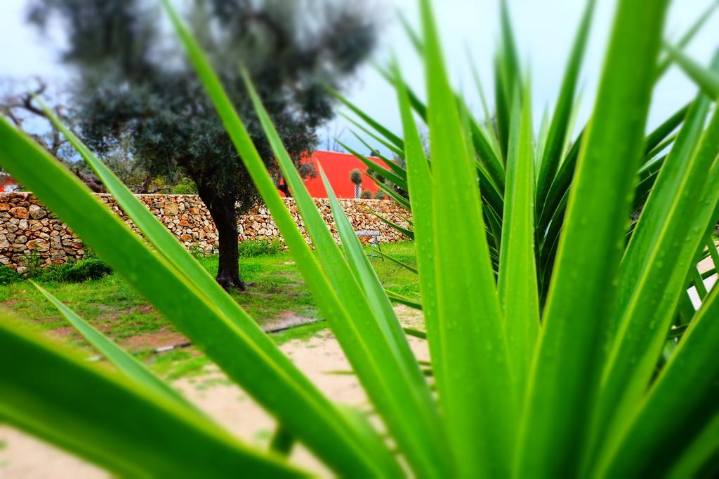 Oasi San Pio Apartment Porto Cesareo Bagian luar foto