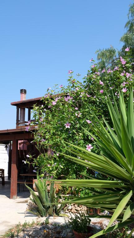 Oasi San Pio Apartment Porto Cesareo Bagian luar foto