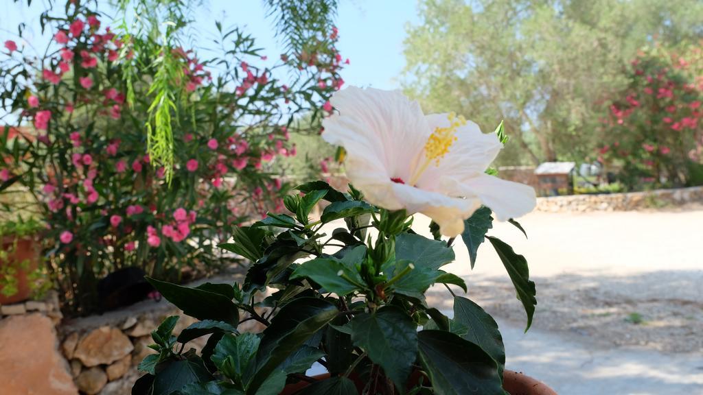 Oasi San Pio Apartment Porto Cesareo Bagian luar foto