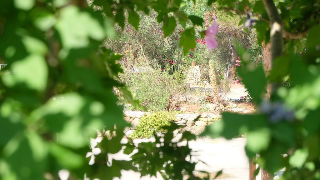 Oasi San Pio Apartment Porto Cesareo Bagian luar foto
