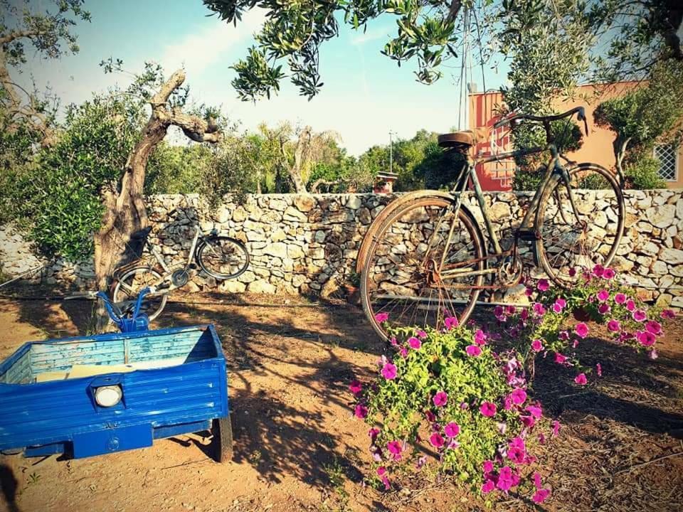Oasi San Pio Apartment Porto Cesareo Bagian luar foto
